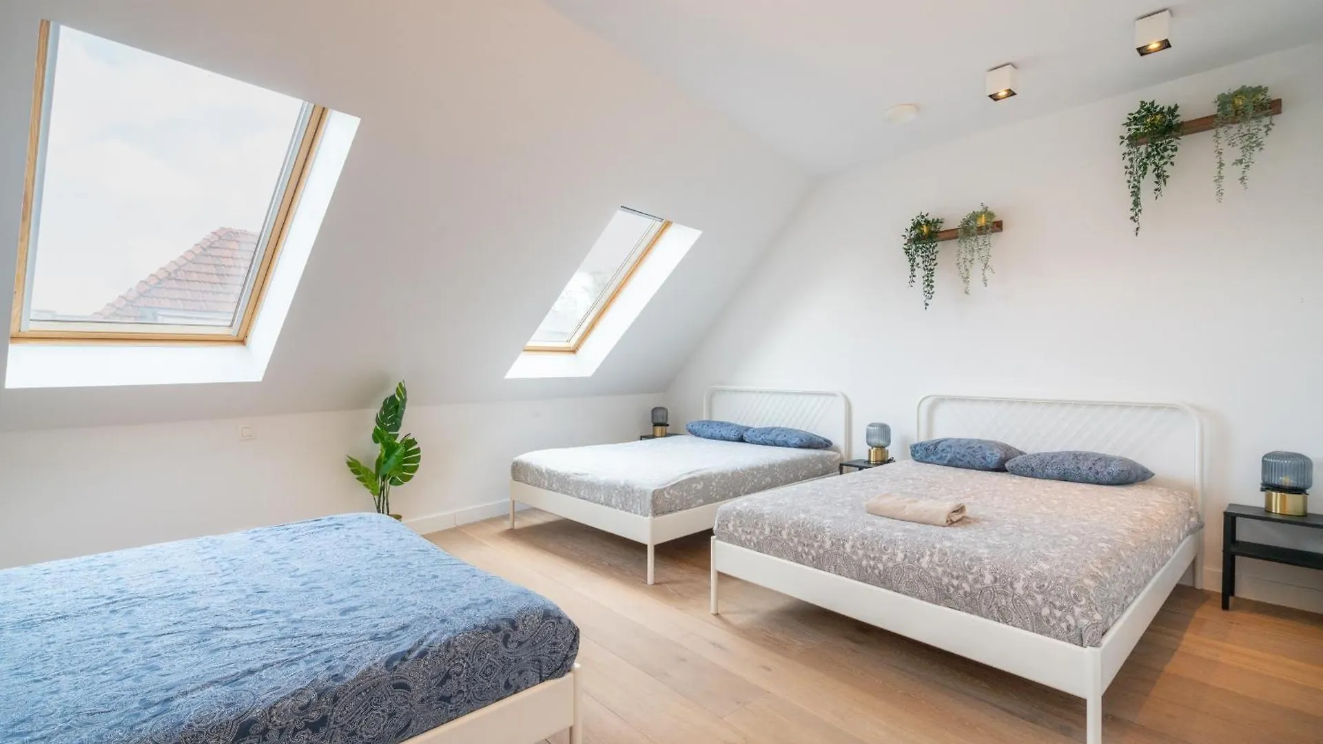 Apartment Light House. Heart Of Antwerp